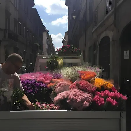 A Promenade In The Best Of Roma